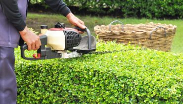 Hedge Trimming