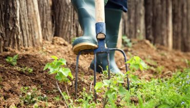 Turfing & Seeding