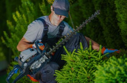 Hedge Trimming