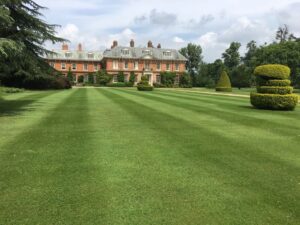 Lawn Scarification