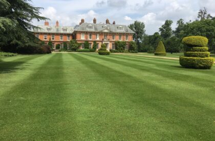 Lawn Scarification