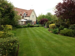 Turfing & Seeding