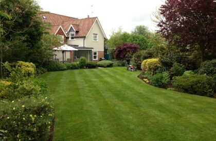 Turfing & Seeding