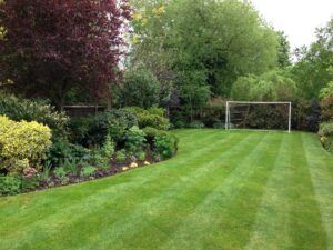Regular Grass Cutting