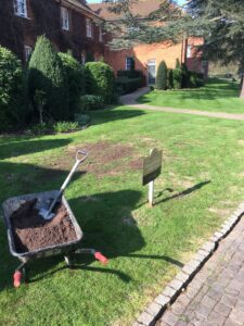 Lawn Scarification