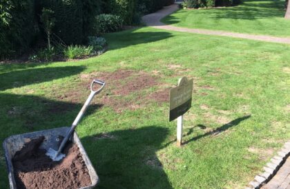 Lawn Scarification