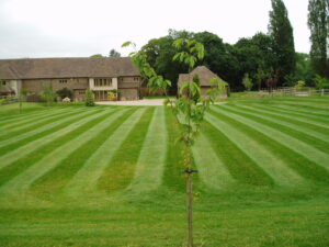 Lawn Fertiliser Applications